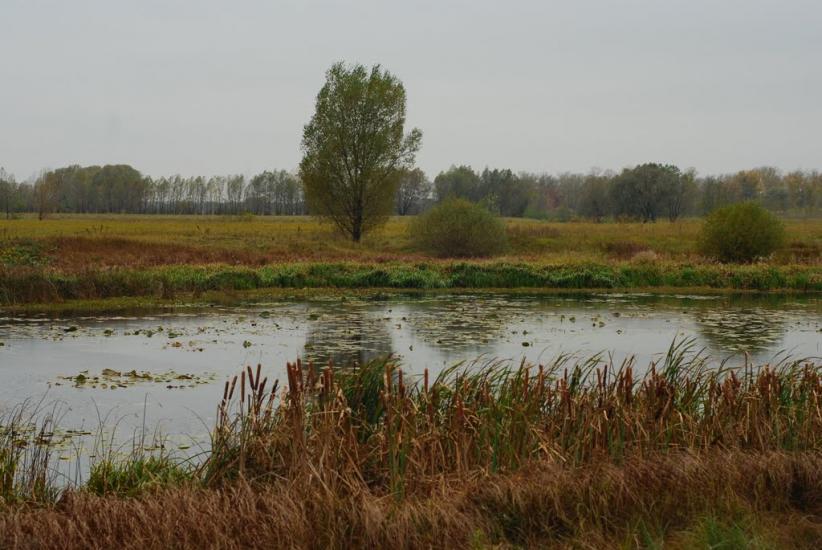 Остапівка з panoramio.com - Остаповка