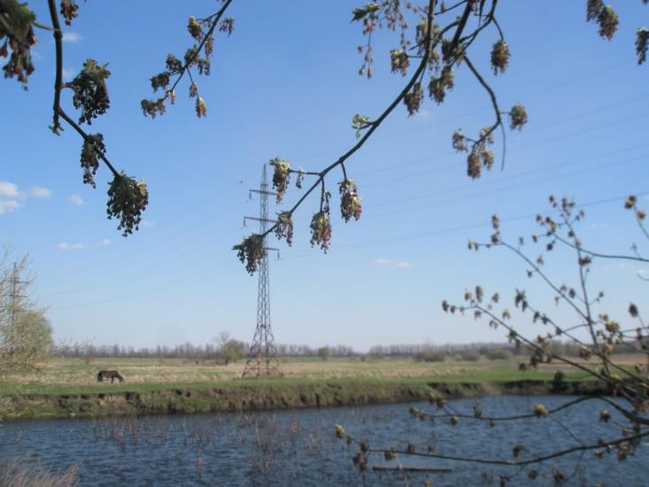 Донець з panoramio.com - Донец