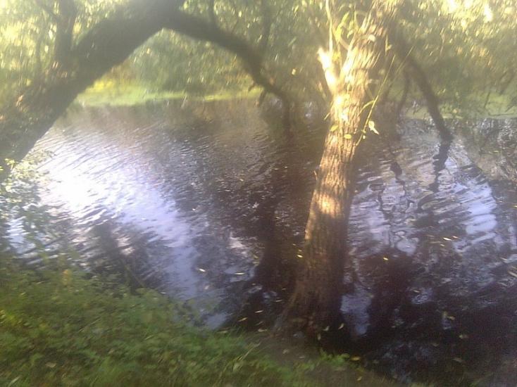 Надлак з panoramio.com - Надлак