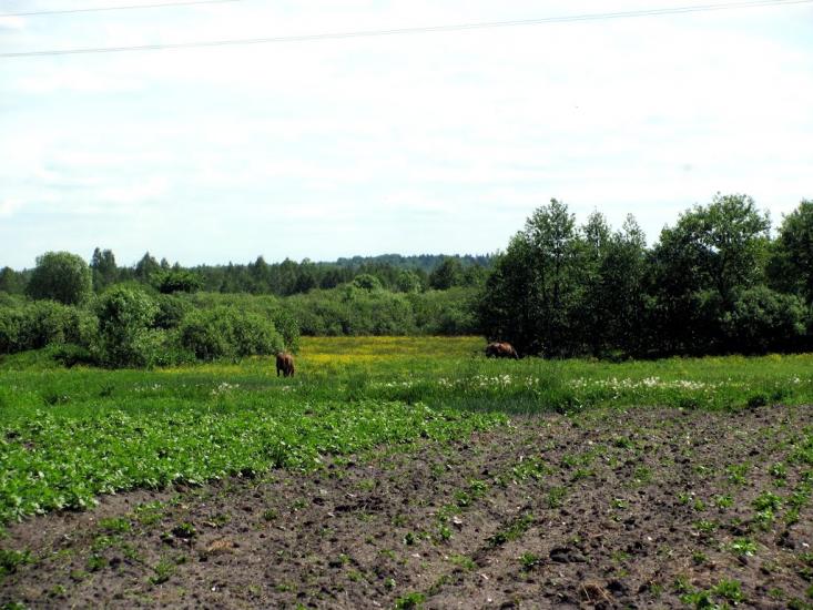 Карасин з panoramio.com - Карасин