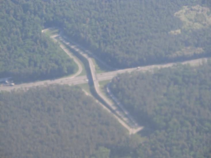 Проліски з panoramio.com - Prolisky