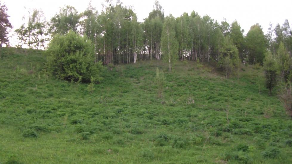 Іваньків з panoramio.com - Іваньків