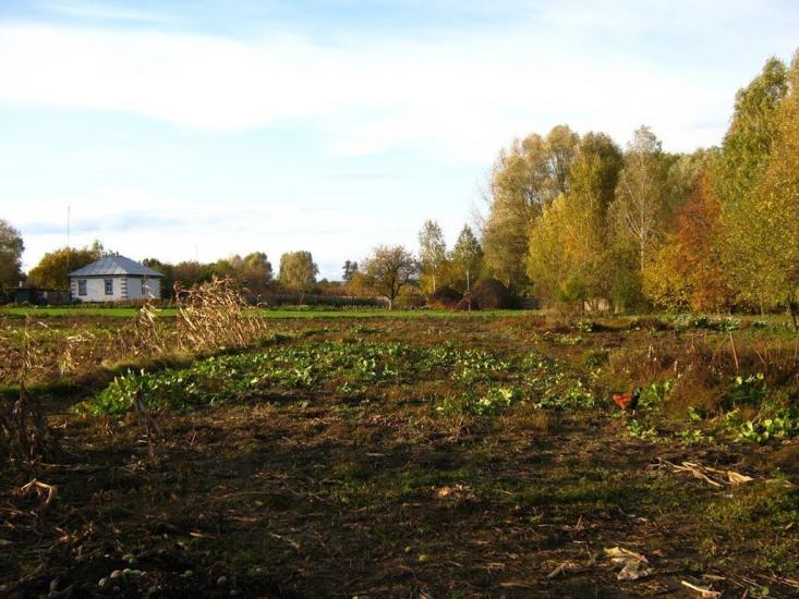 Підлісне з panoramio.com - Підлісне