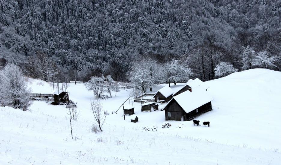 Кваси з panoramio.com - Квасы
