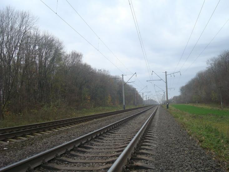 Лозова з panoramio.com - Лозова