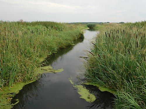 Волошинівка з panoramio.com - Волошинівка
