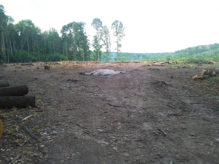 Іволжанське з panoramio.com - Іволжанське