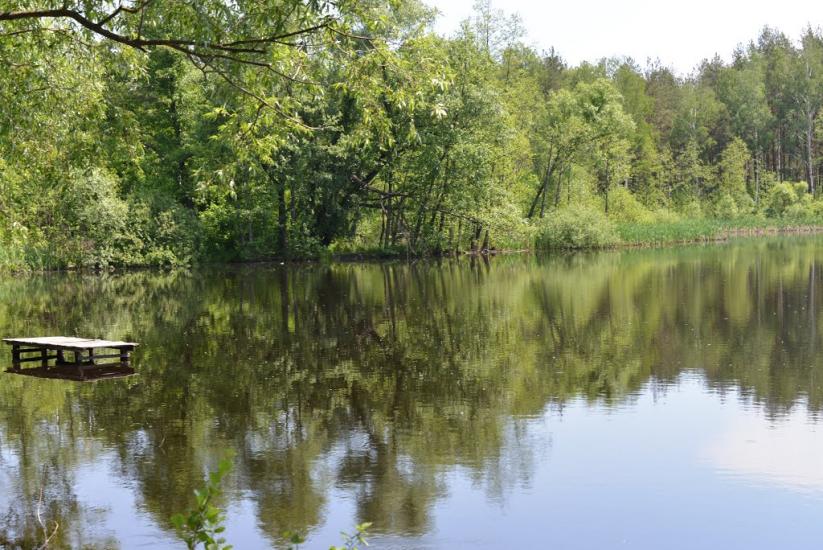Корюківка з panoramio.com - Корюковка