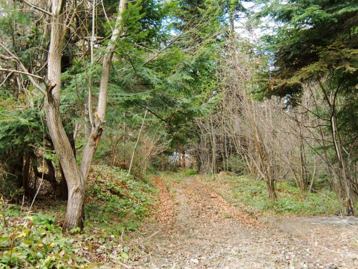 Созань з panoramio.com - Созань