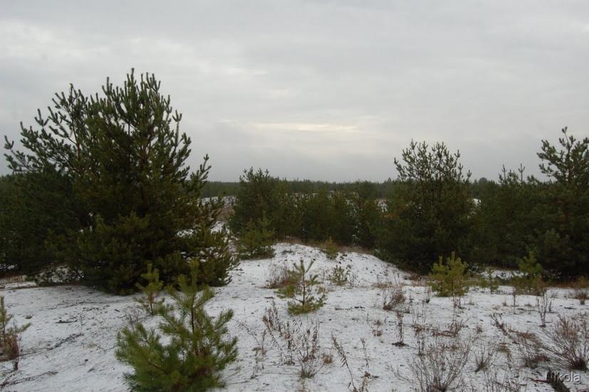 Воронове з panoramio.com - Воронове