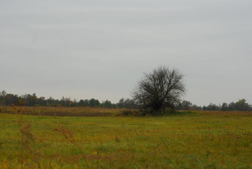 Остапівка з panoramio.com - Остаповка