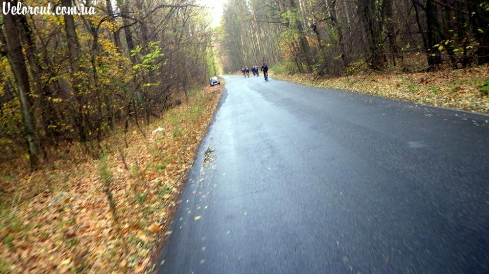 Проліски з panoramio.com - Prolisky