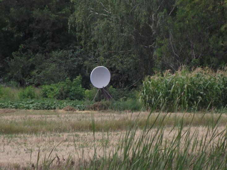 Розаліївка з panoramio.com - Розаліївка