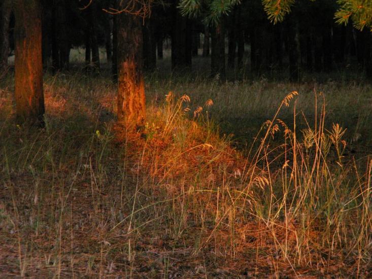 Баловне з panoramio.com - Баловное