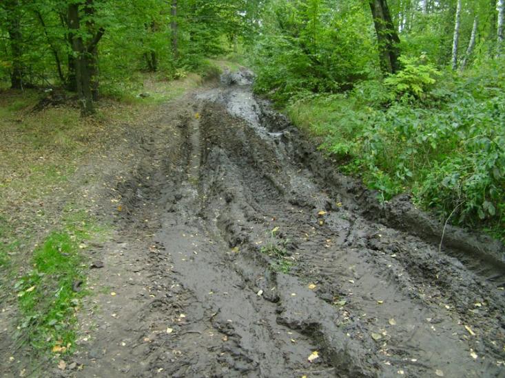 Лошакова Гута з panoramio.com - Лошакова Гута