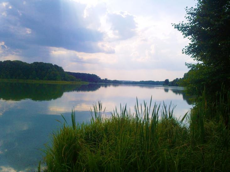 Іволжанське з panoramio.com - Іволжанське