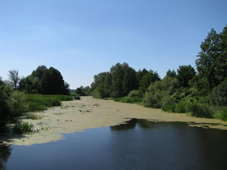 Лютенські Будища з panoramio.com - Лютенские Будища