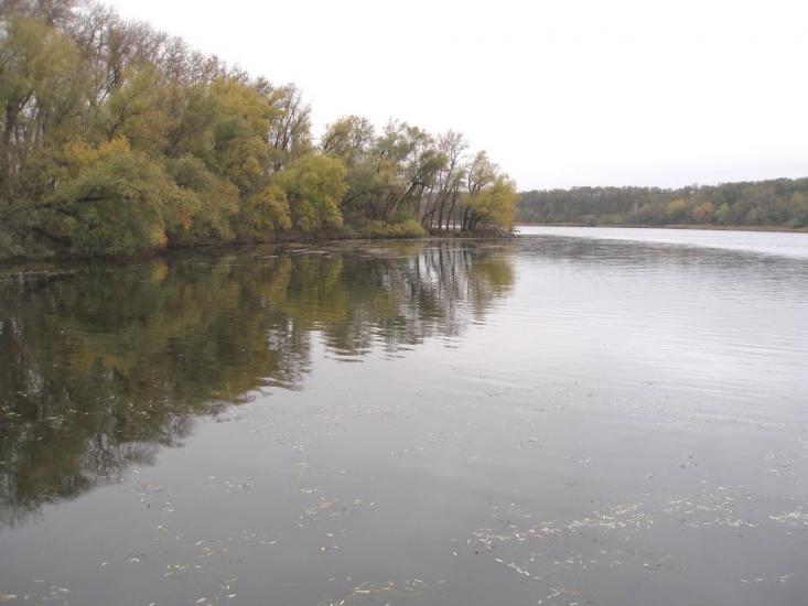 Вільноандріївка з panoramio.com - Вольноандреевка