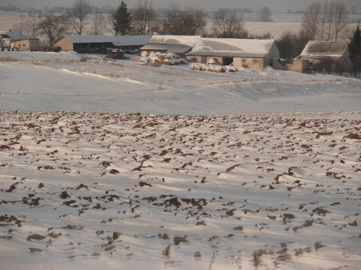 Варяж з panoramio.com - Варяж