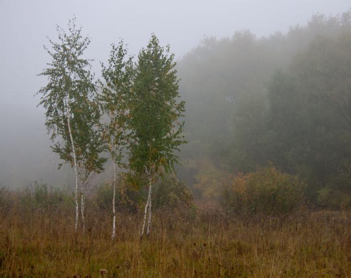 Бахмач з panoramio.com - Bakhmach