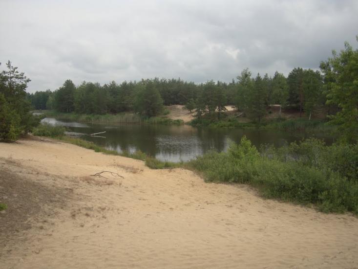 Ровжі з panoramio.com - Ровжи