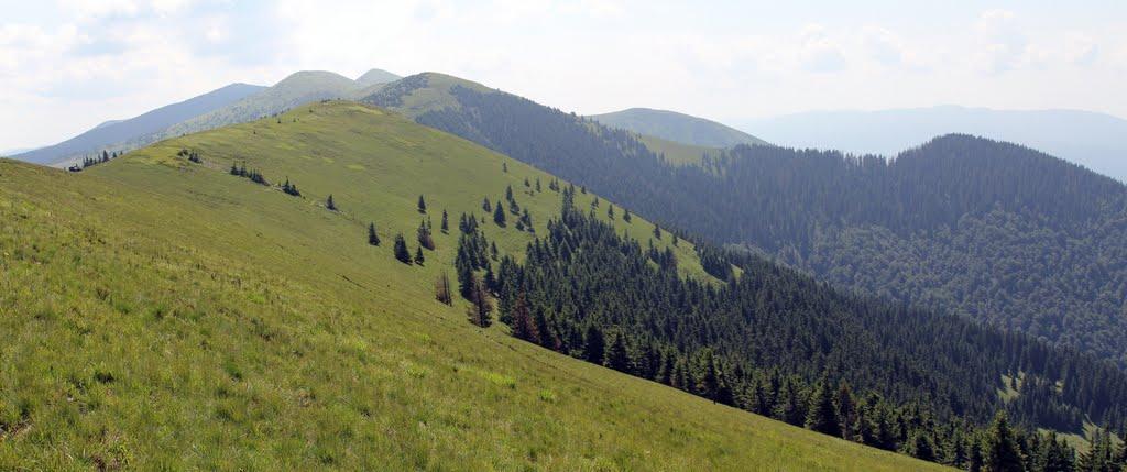 Заверхня Кичера з panoramio.com - Заверхняя Кичера