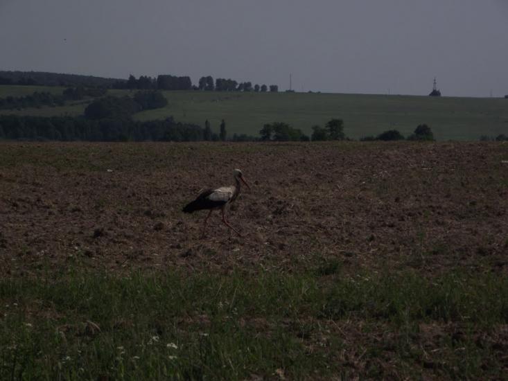 Летичів з panoramio.com - Летичев