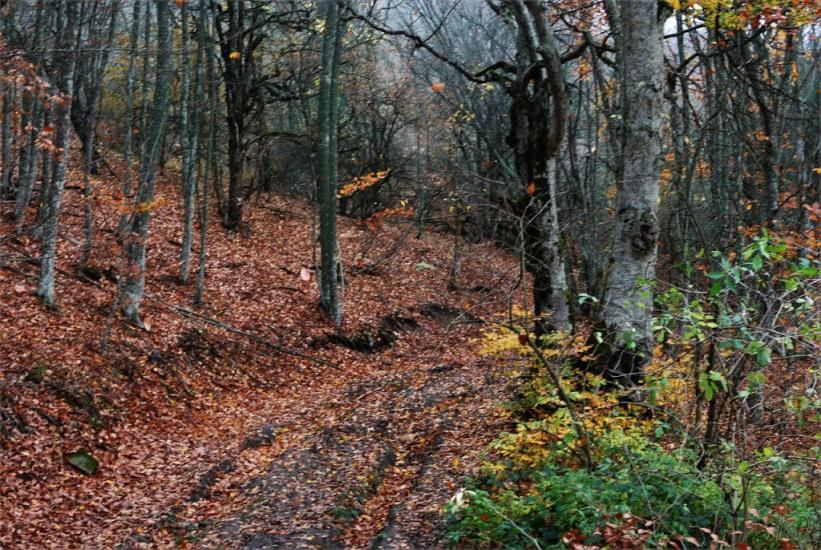 Поворотне з panoramio.com - Поворотное