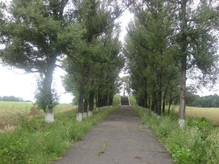 Садки з panoramio.com - Садки