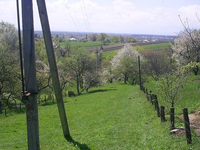 Розділ з panoramio.com - Роздол