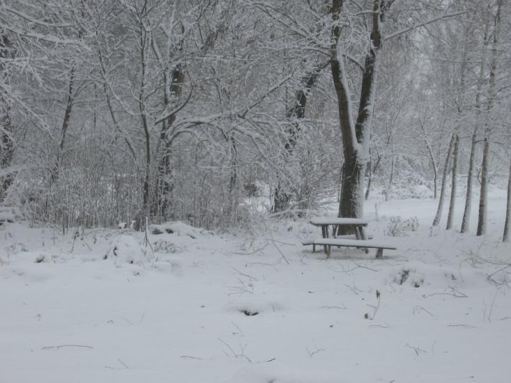 Борзна з panoramio.com - Борзна