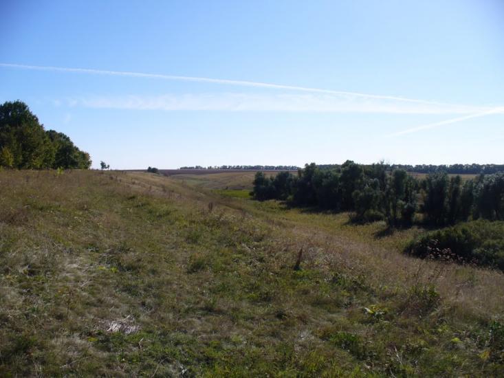 Косяківка з panoramio.com - Косяковка