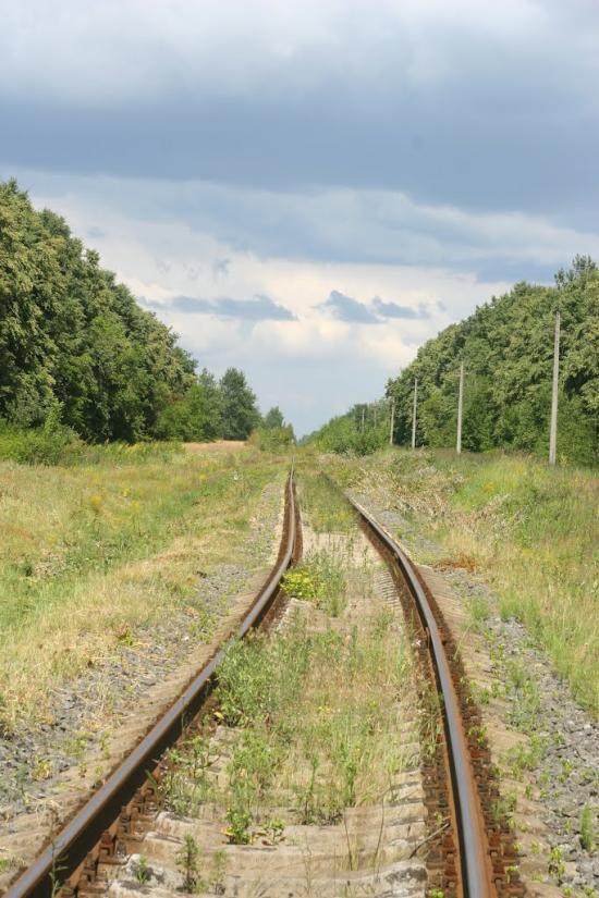 Забуяння з panoramio.com - Забуянье