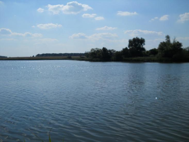 Кошляки з panoramio.com - Кошляки