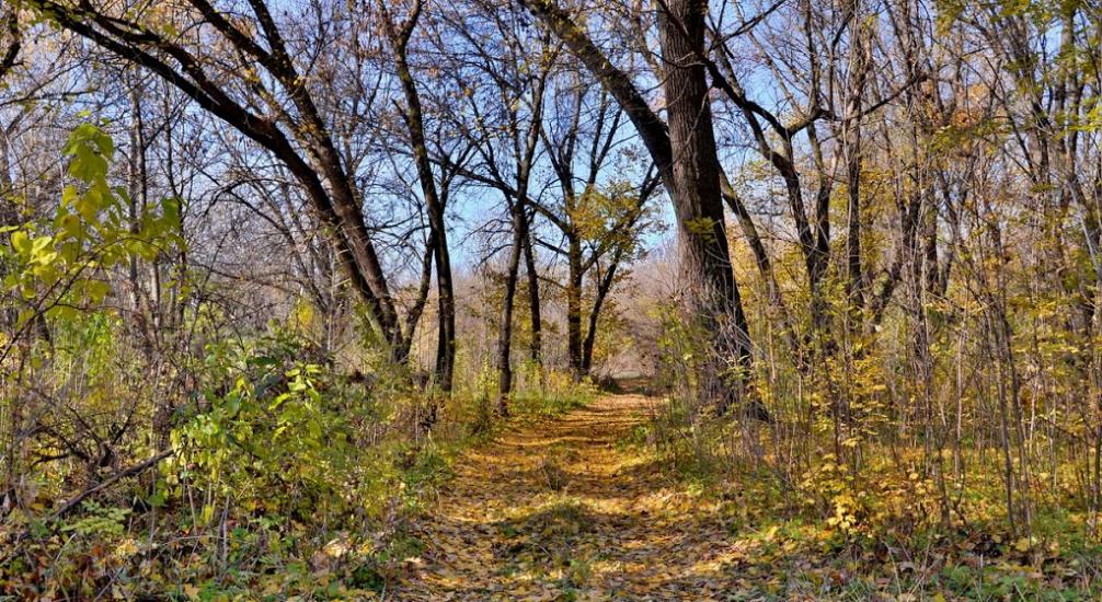 Гірницьке з panoramio.com - Горницкое