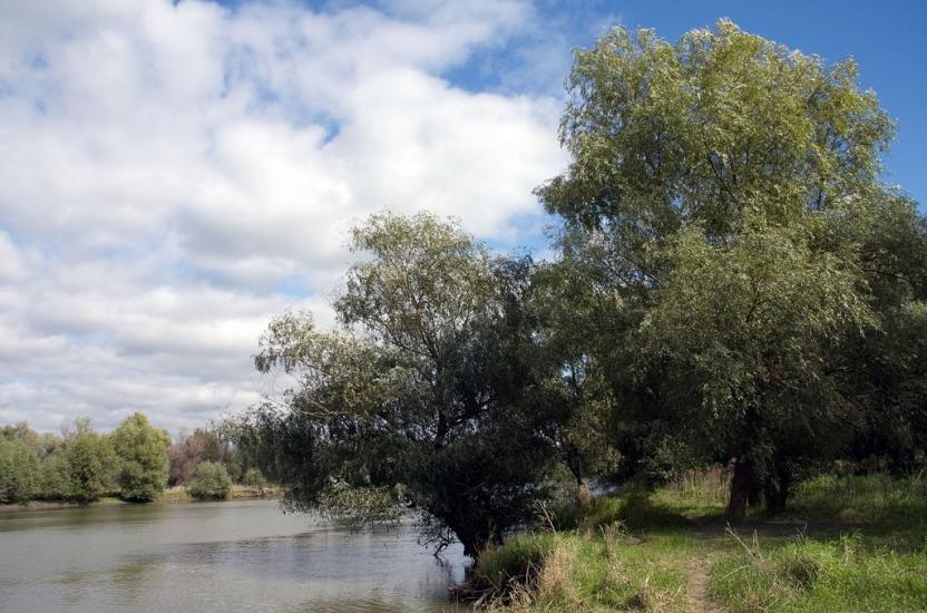 Яськи з panoramio.com - Jasky