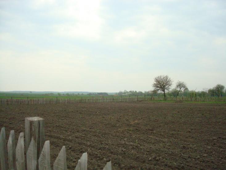 Дроздні з panoramio.com - Дроздні
