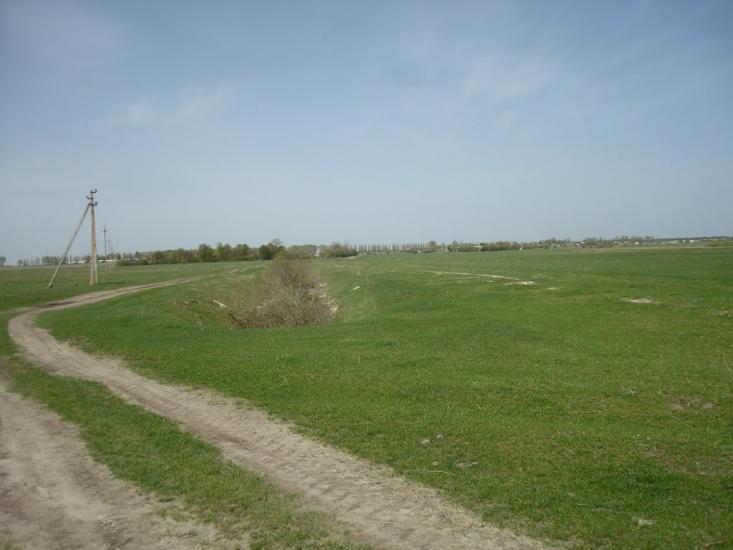 Дроздні з panoramio.com - Дроздні