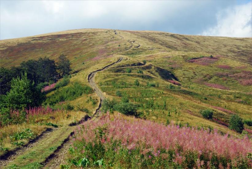 Вовчий з panoramio.com - Волчий