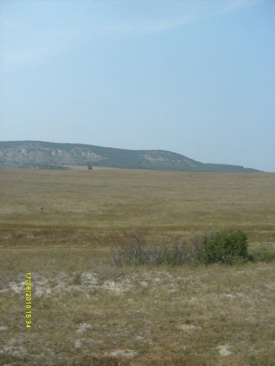 Сирень з panoramio.com - Сирень