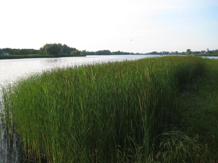 Старосілля з panoramio.com - Староселье