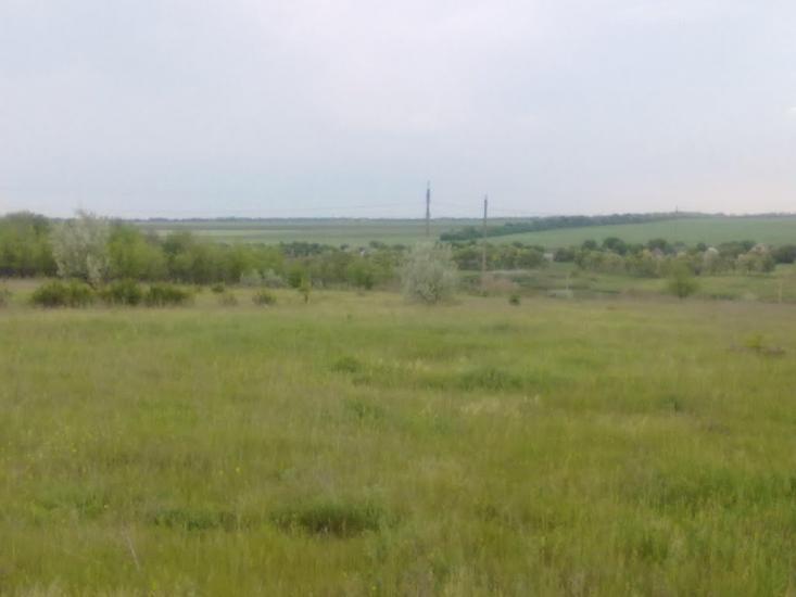 Вільнянськ з panoramio.com - Вільнянськ