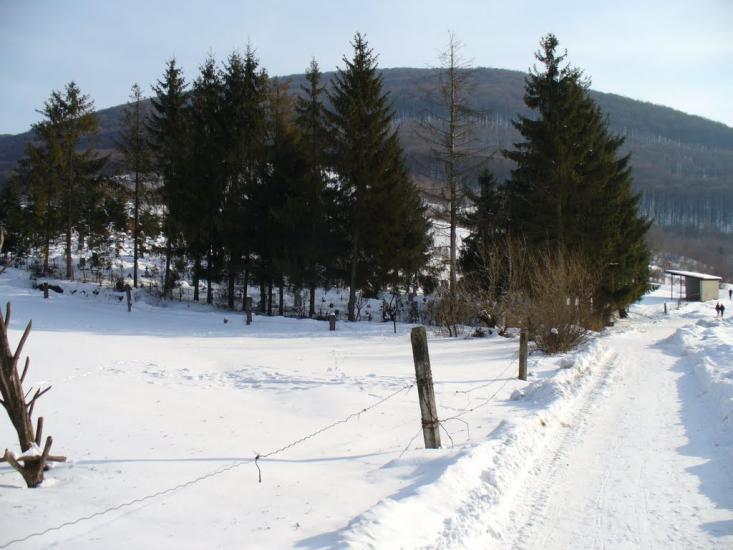 Поляна з panoramio.com - Поляна