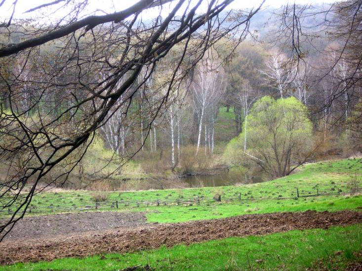 Кринцілів з panoramio.com - Кринцілів