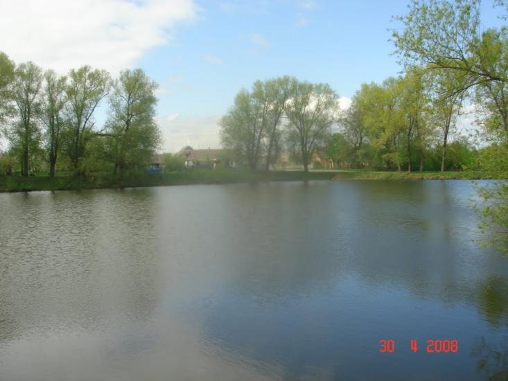 Кошляки з panoramio.com - Кошляки