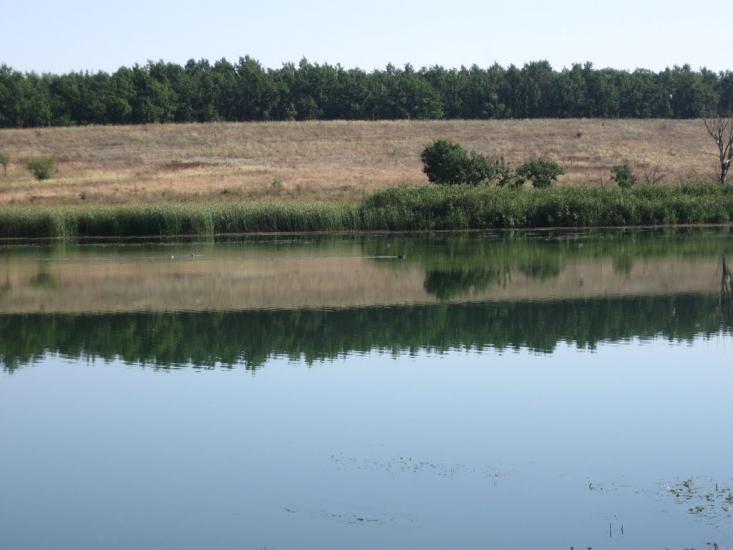 Андріївка з panoramio.com - Андріївка