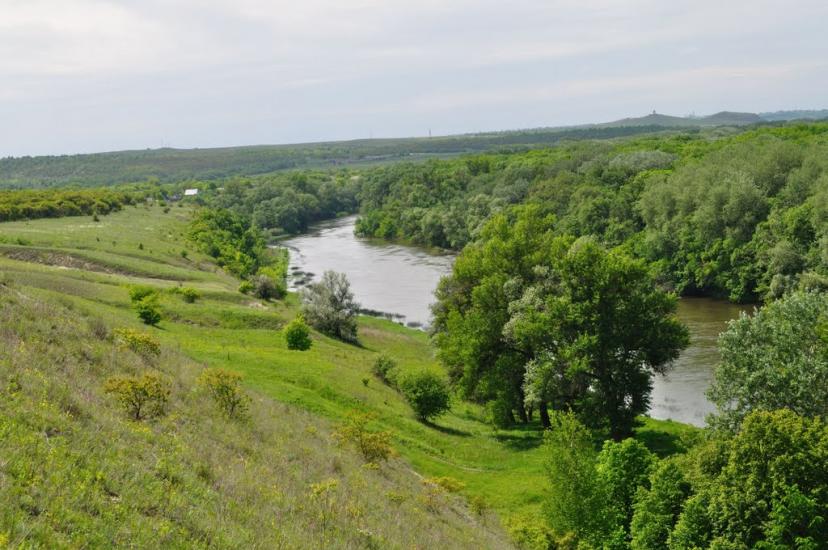 Білогорівка з panoramio.com - Белогоровка