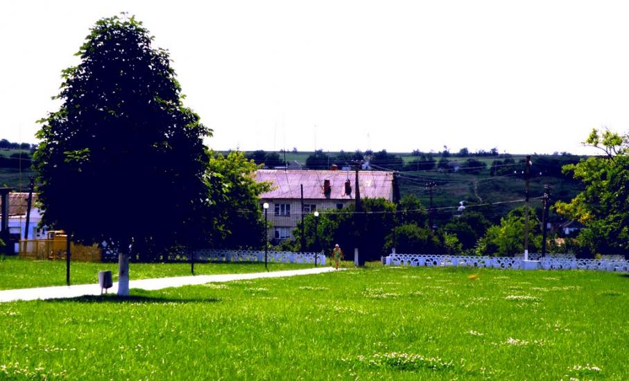 Широколанівка з panoramio.com - Широколановка