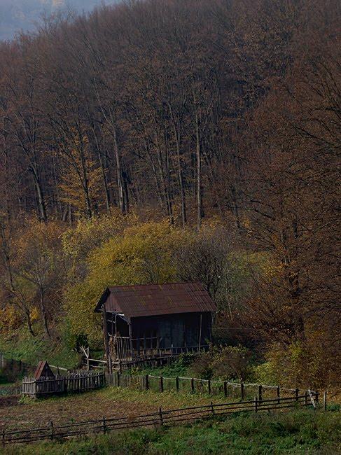 Кринцілів з panoramio.com - Кринцілів