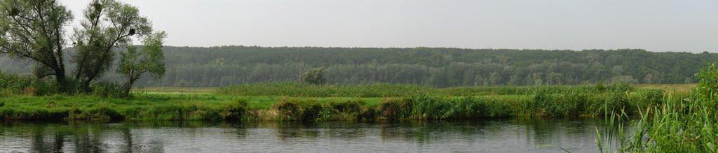 Нижній Бишкин з panoramio.com - Нижній Бишкин